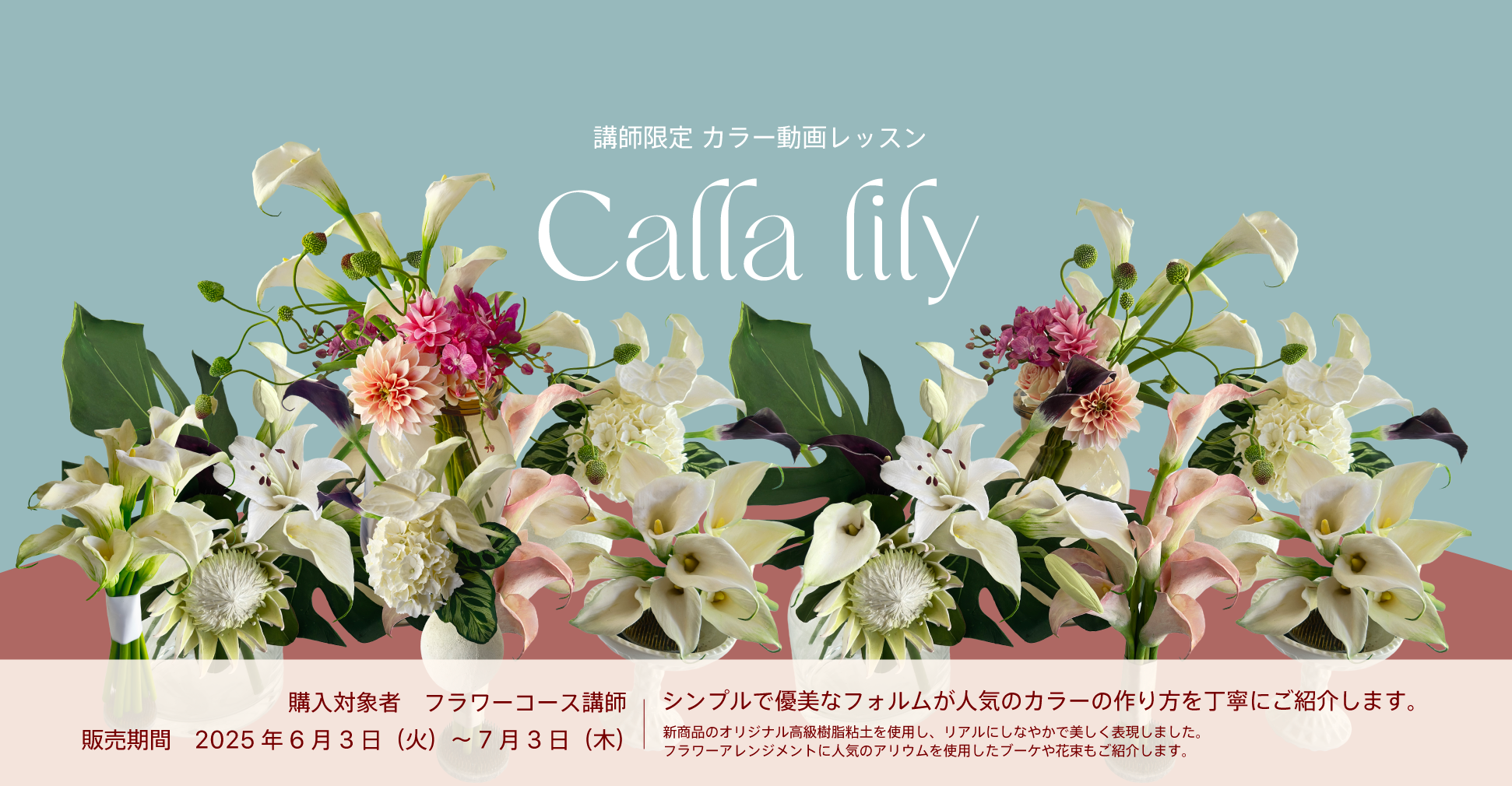 Calla-lily
