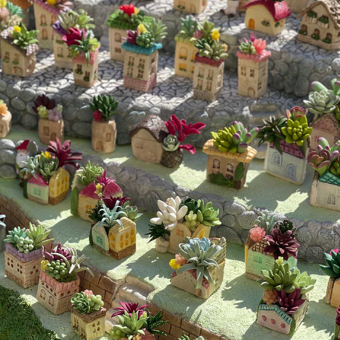 ミニチュアハウス&多肉の可愛い世界