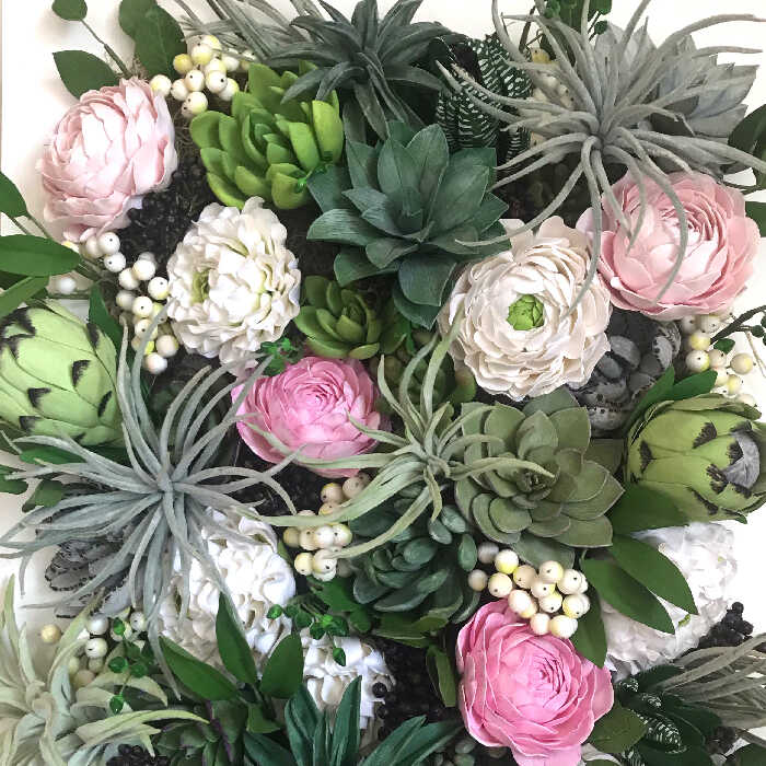 ラナンキュラスと多肉植物