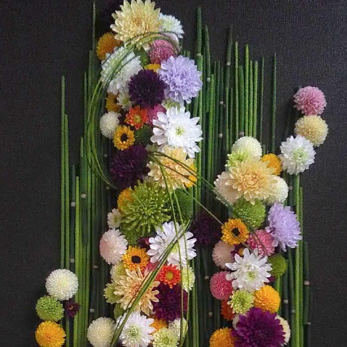 律の調べ【richinoshirabe】