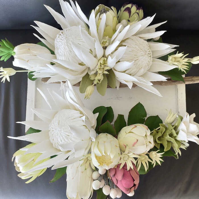 ビクトリアの眠り