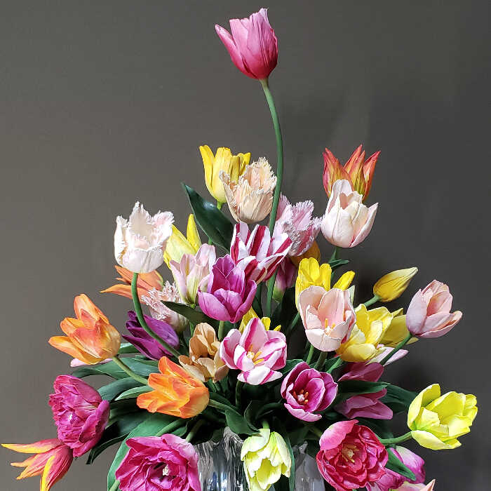 カラフルチューリップそれぞれの思いやり