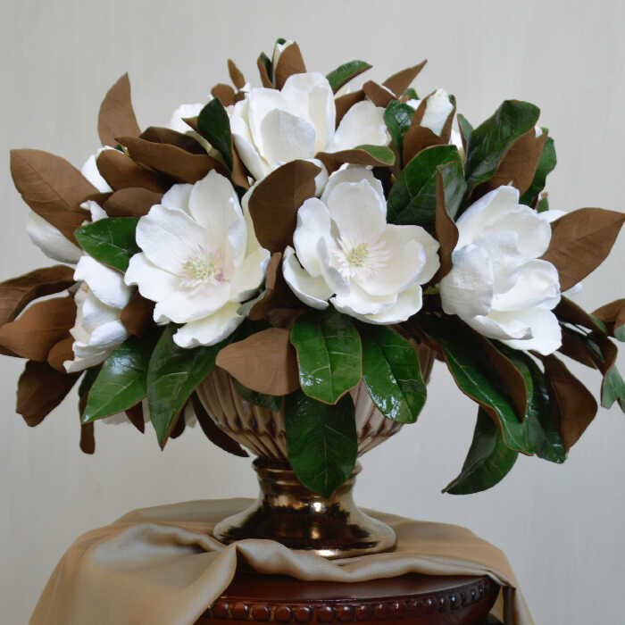 The Charm of My Magnolia