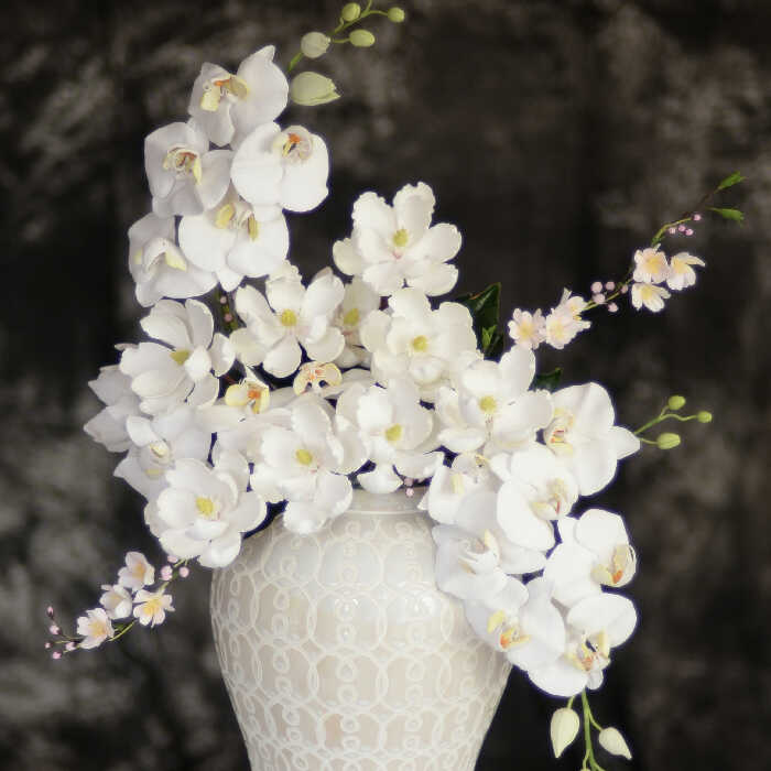 Honouring the Past, Celebrating the Future